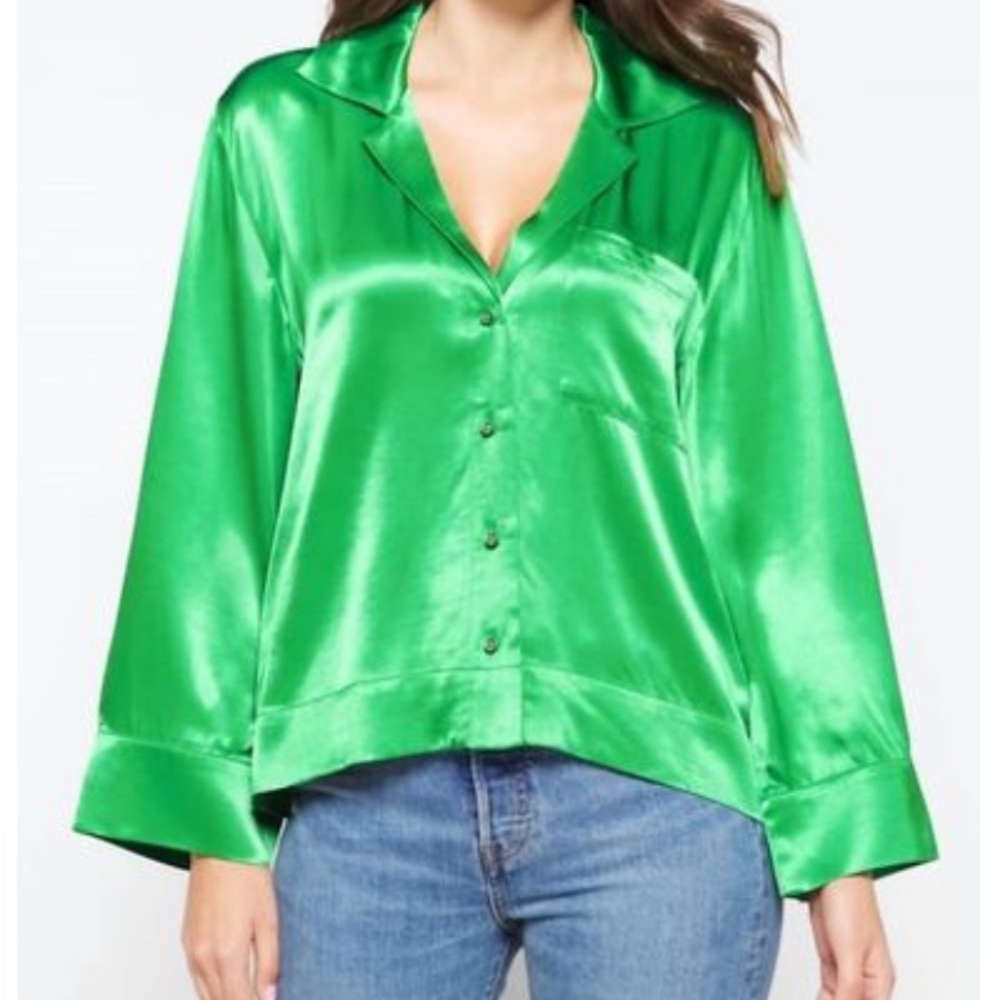 NWT PISTOLA Size LARGE SIA Silky Collared Button Down Blouse